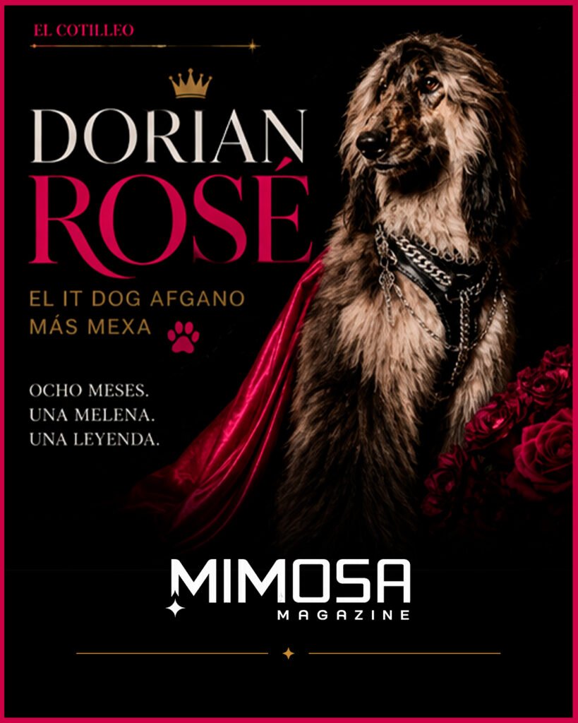 Dorian Rosé: El It Dog Afgano más Mexa